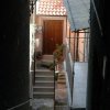 VieDelCentro15.jpg