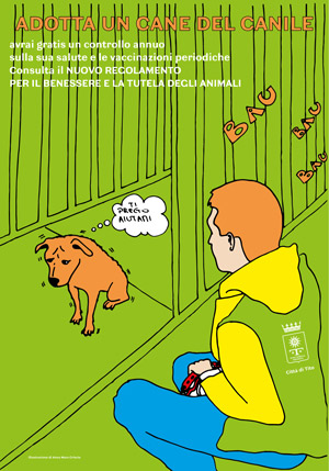 cani adozione w300