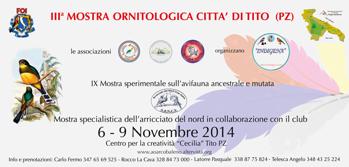 mostra-ornitologica3 w690