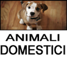 animali-domestici